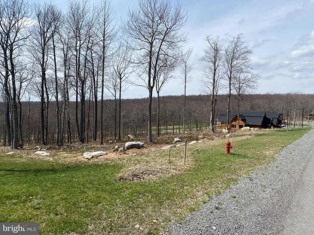 a view of a park with large trees