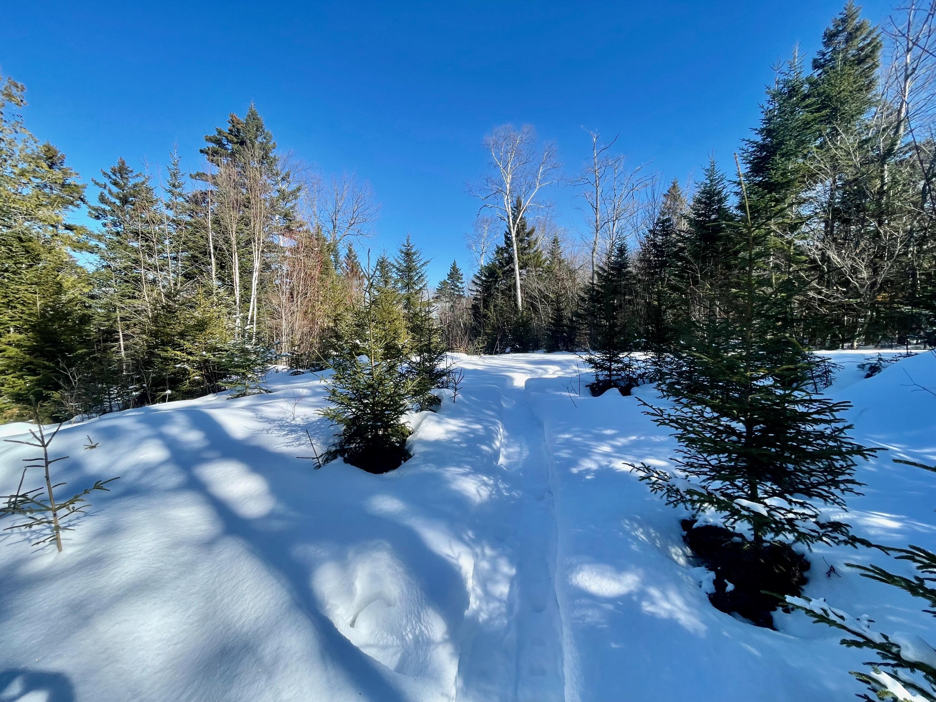 2020-2022 Pond Road Carrabassett Valley, ME 04947 - Photo 15 of 17 IMG_4210