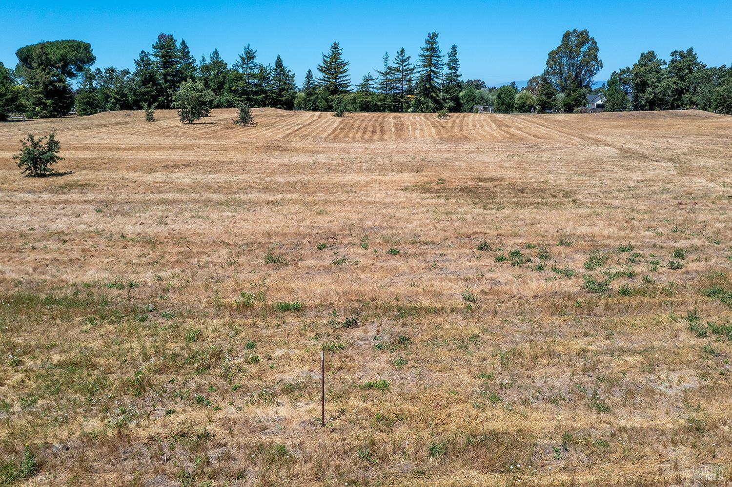 5390 Hall Road Santa Rosa, CA 95401 - Photo 7 of 11 Stake post marks the back property boundary