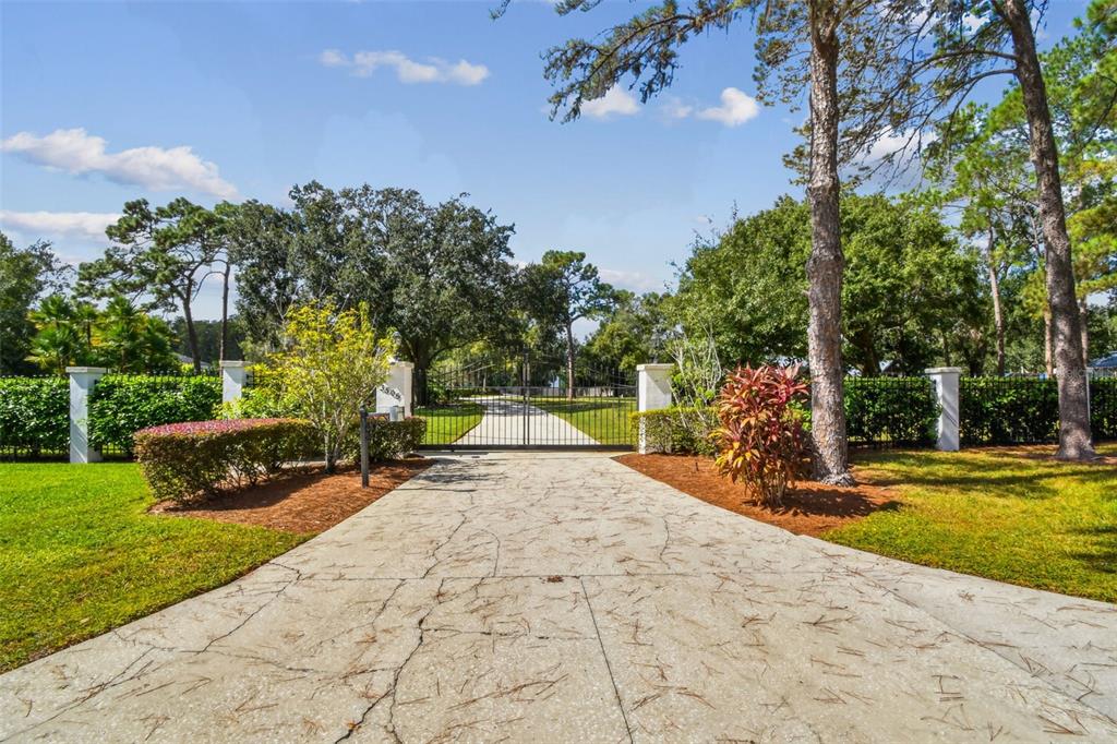 3505 Berger Road Lutz, FL 33548 - Photo 2 of 79 a view of a park with large trees
