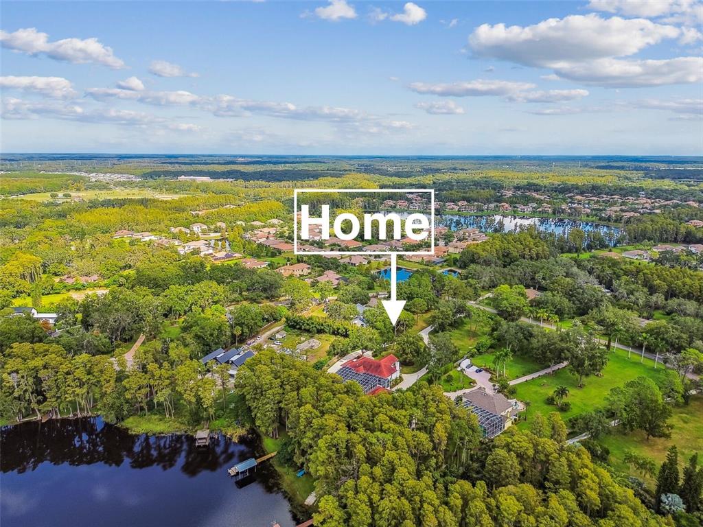 3505 Berger Road Lutz, FL 33548 - Photo 76 of 79