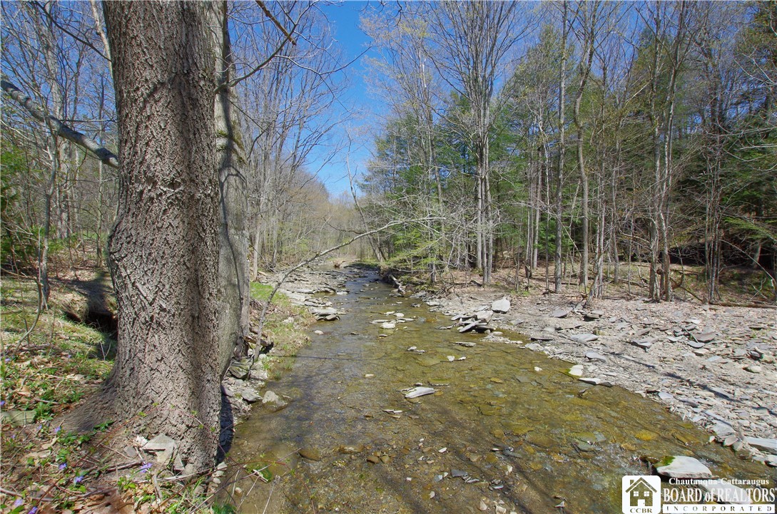 3588 Dutch Hollow Road Ellery, NY 14701 - Photo 3 of 33