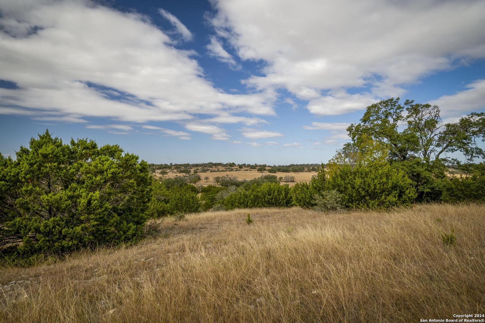 30 Buckskin Path Fredericksburg, TX 78624 - Photo 5 of 33