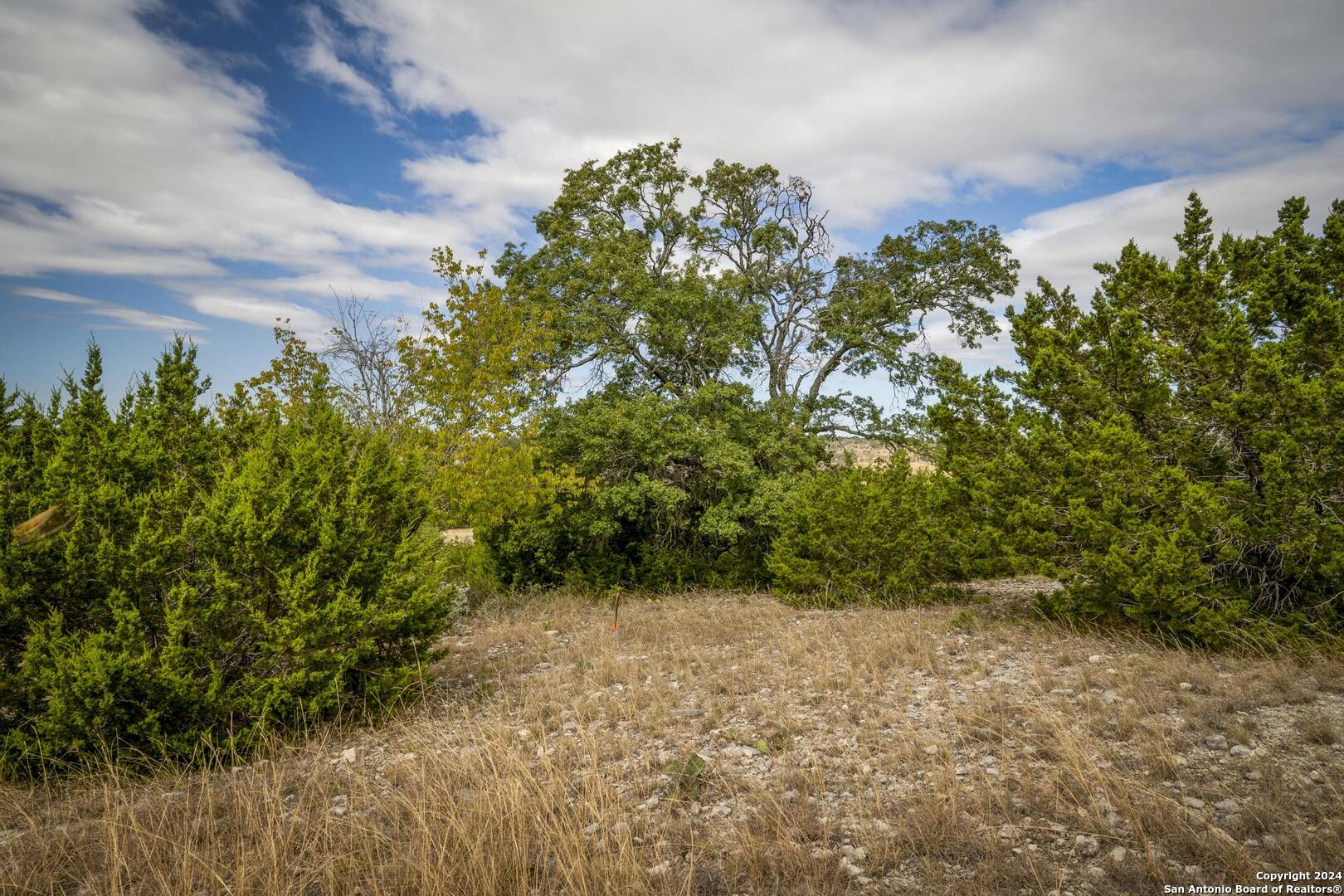 30 Buckskin Path Fredericksburg, TX 78624 - Photo 6 of 33
