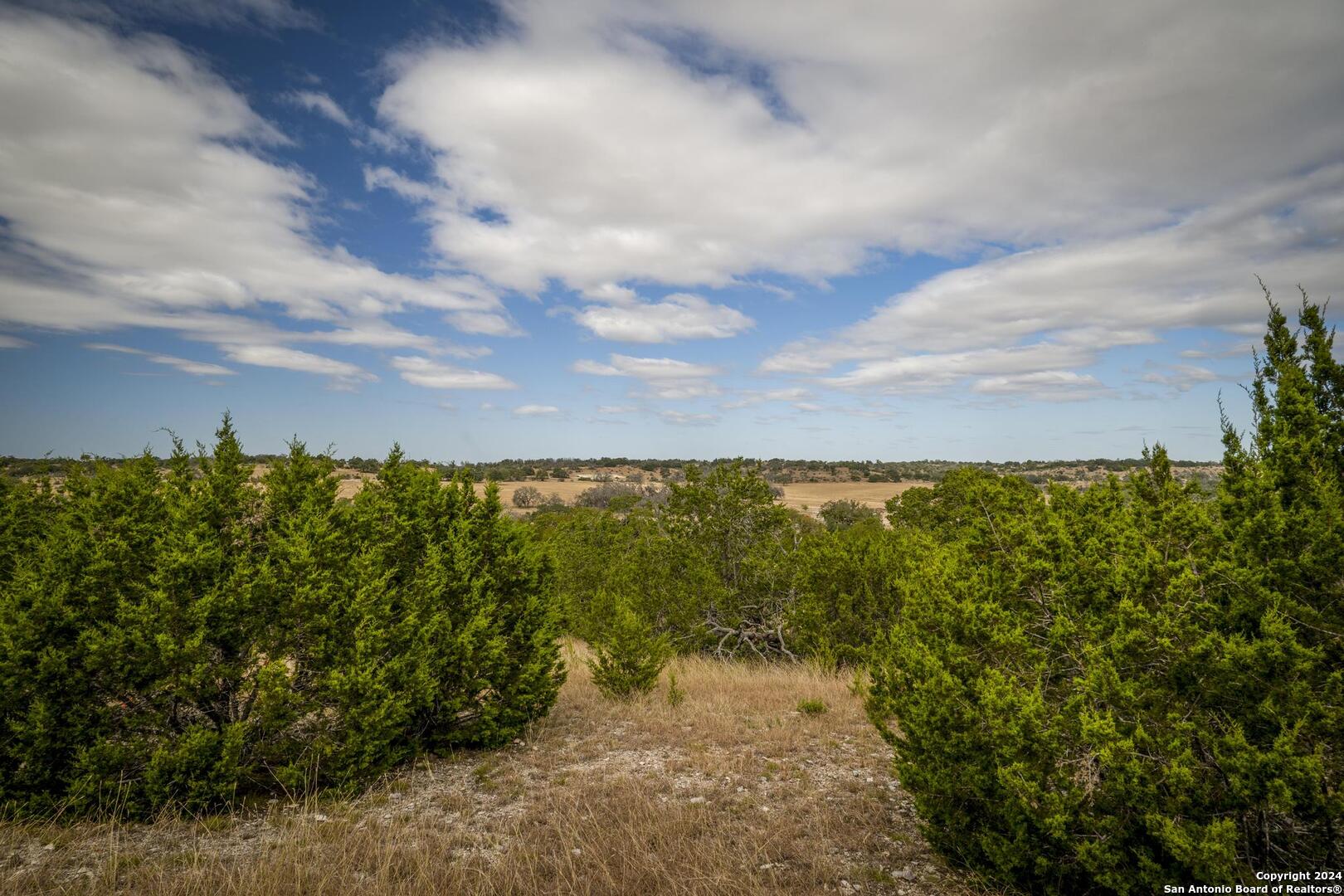 30 Buckskin Path Fredericksburg, TX 78624 - Photo 9 of 33