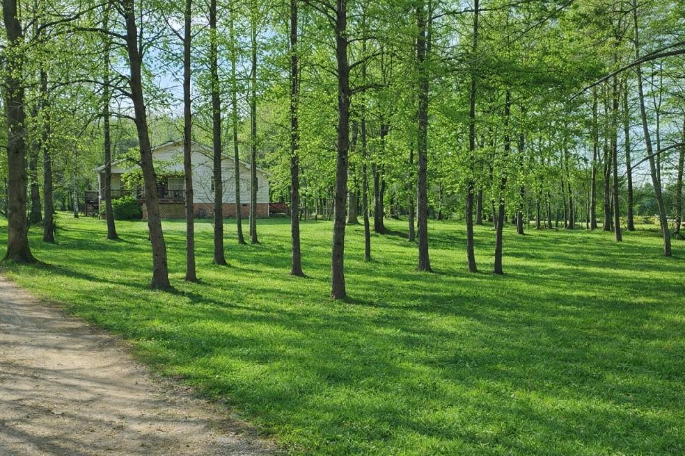 218 Cedar Hollow Road Cleveland, GA 30528 - Photo 1 of 2 a view of grassy field with benches