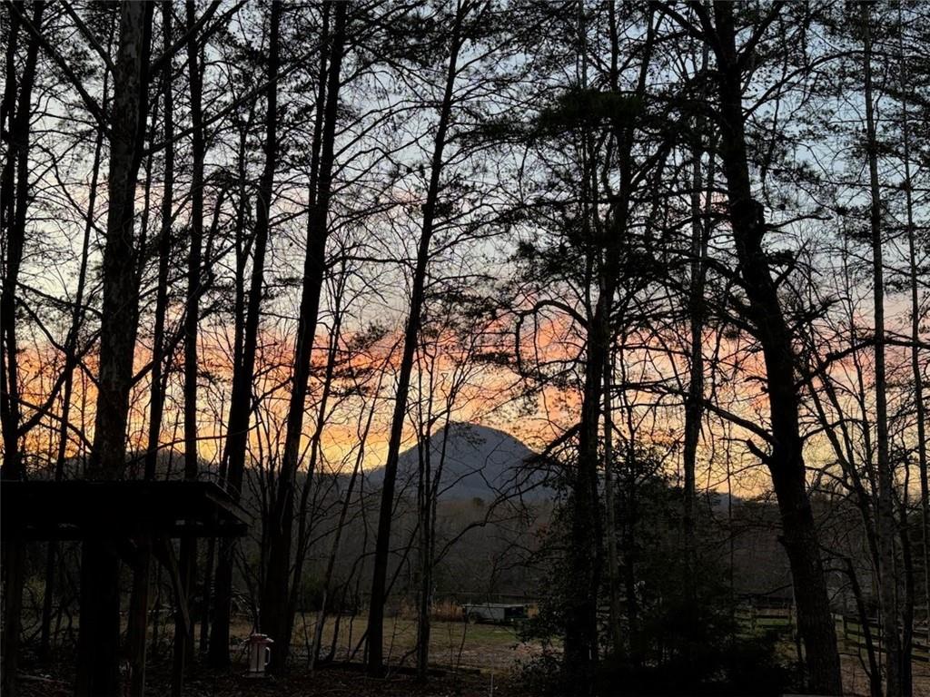 218 Cedar Hollow Road Cleveland, GA 30528 - Photo 2 of 2