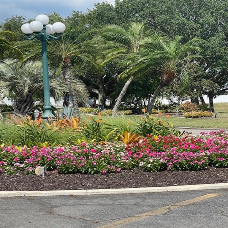 706 Roma Road Venice, FL 34285 - Photo 4 of 24 a bunch of flowers are in a yard