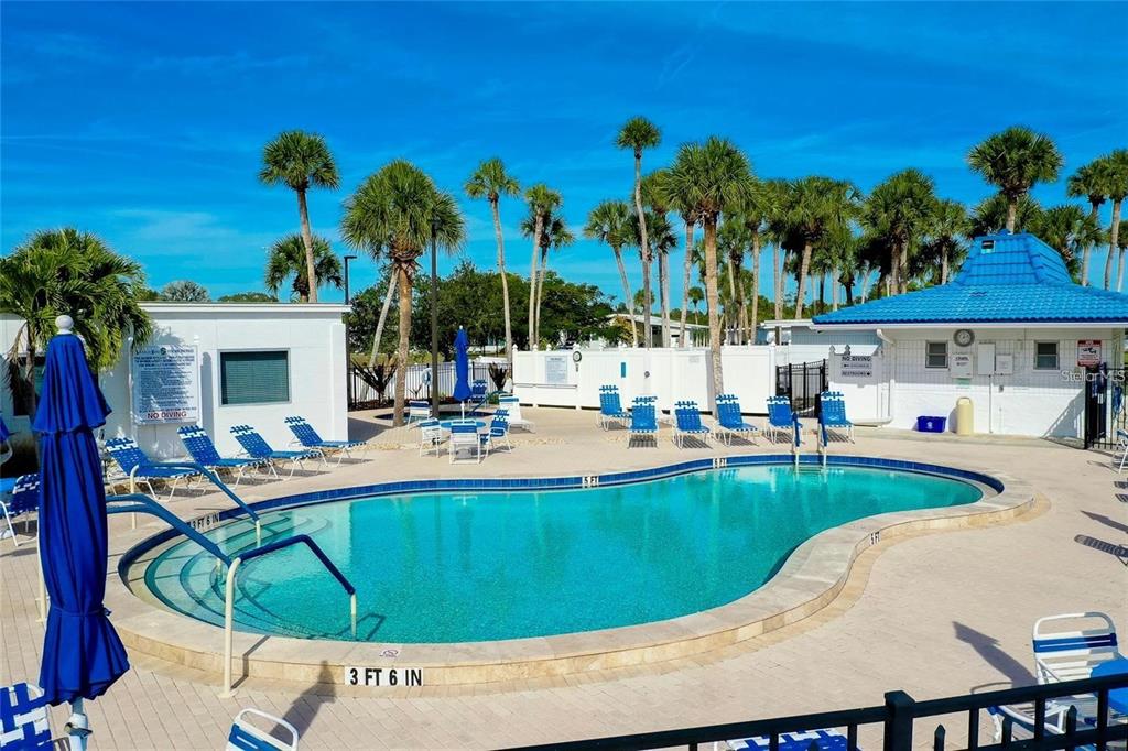 706 Roma Road Venice, FL 34285 - Photo 8 of 24 a view of a swimming pool with a lawn chairs under palm trees