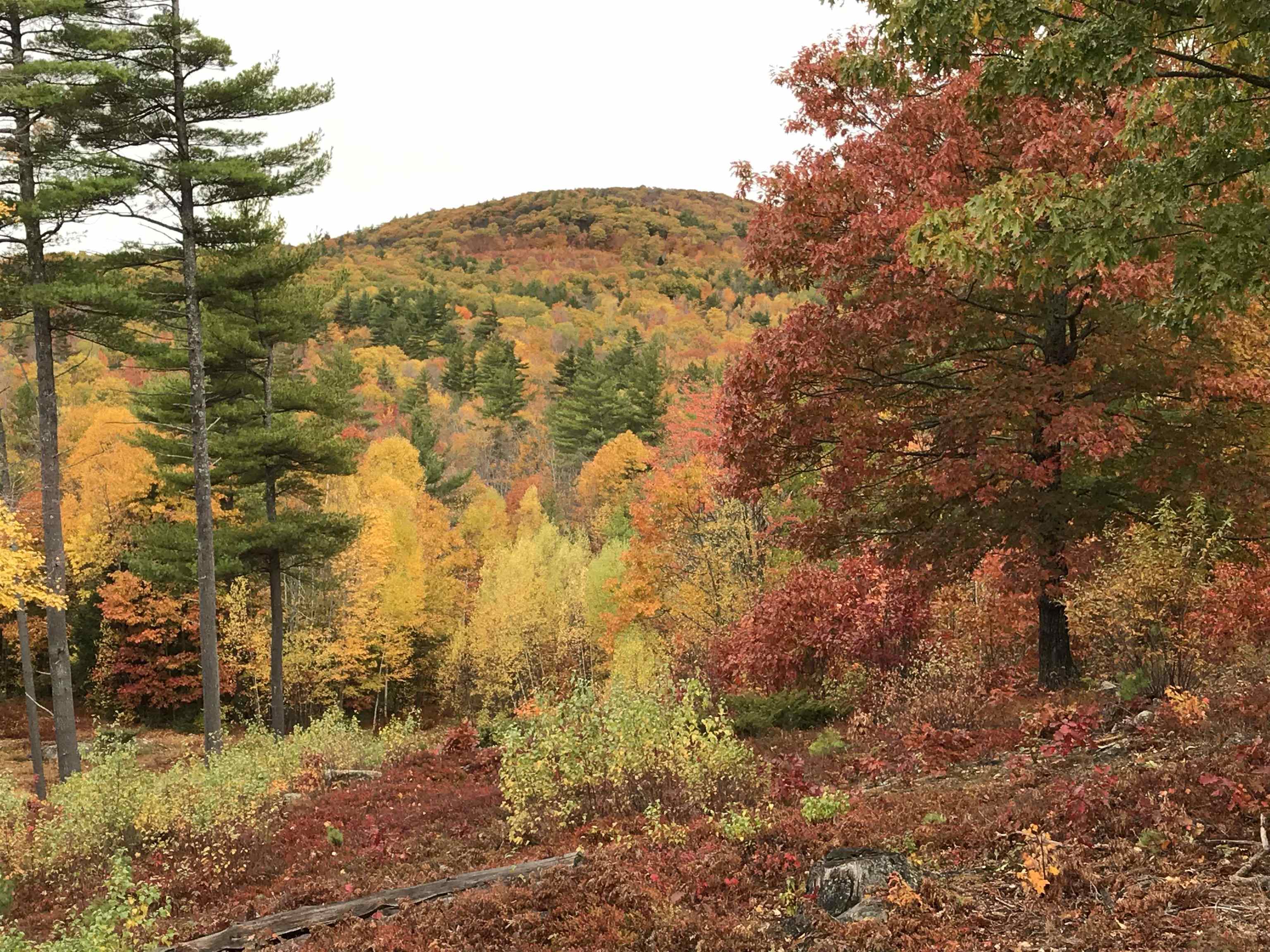 52 Durrell Mountain Road Gilmanton, NH 03237 - Photo 36 of 39