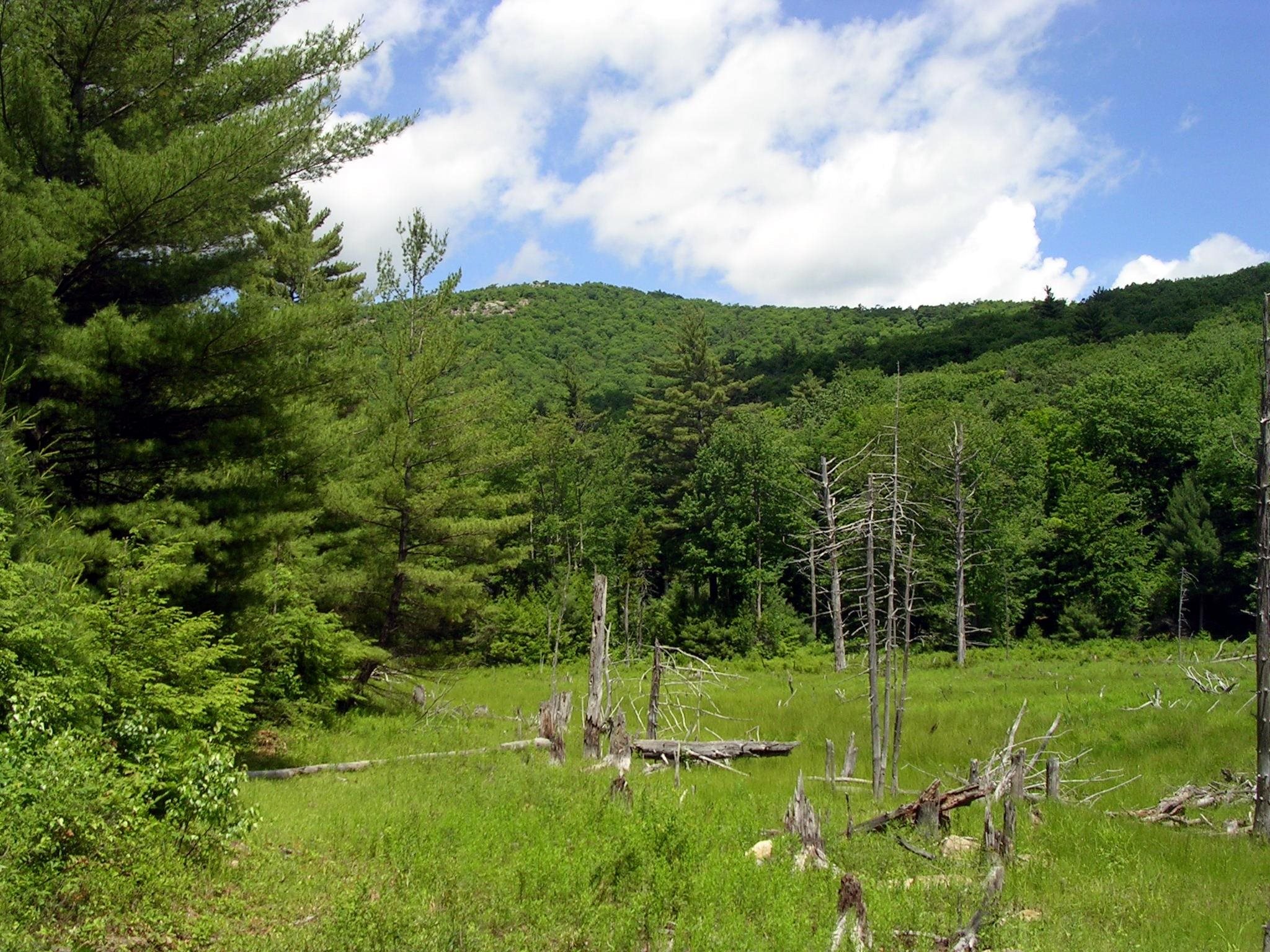 52 Durrell Mountain Road Gilmanton, NH 03237 - Photo 37 of 39