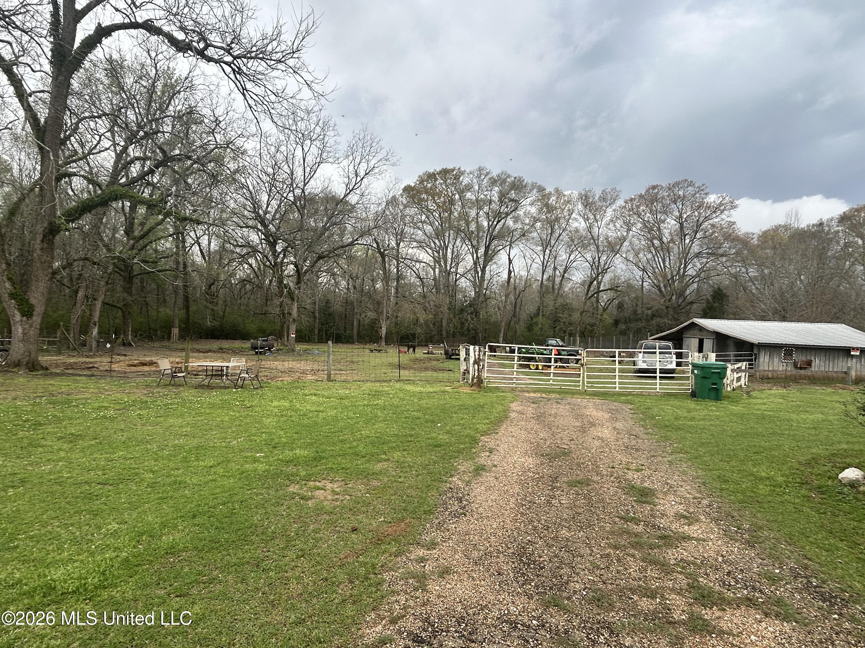 1083 Jones Road Edwards, MS 39066 - Photo 5 of 30 IMG_5639