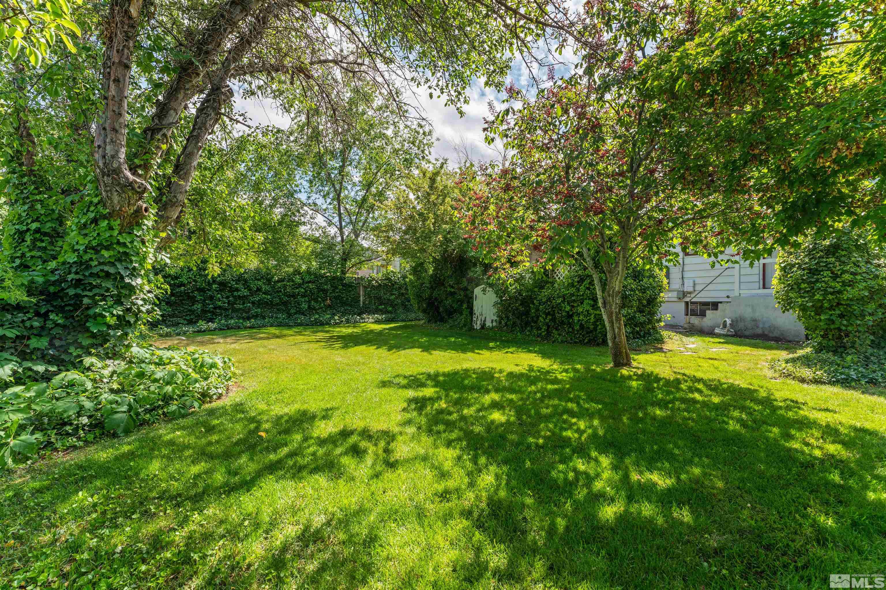 1624 Watt Street Reno, NV 89509 - Photo 33 of 40 a view of yard with swimming pool and trees in the background