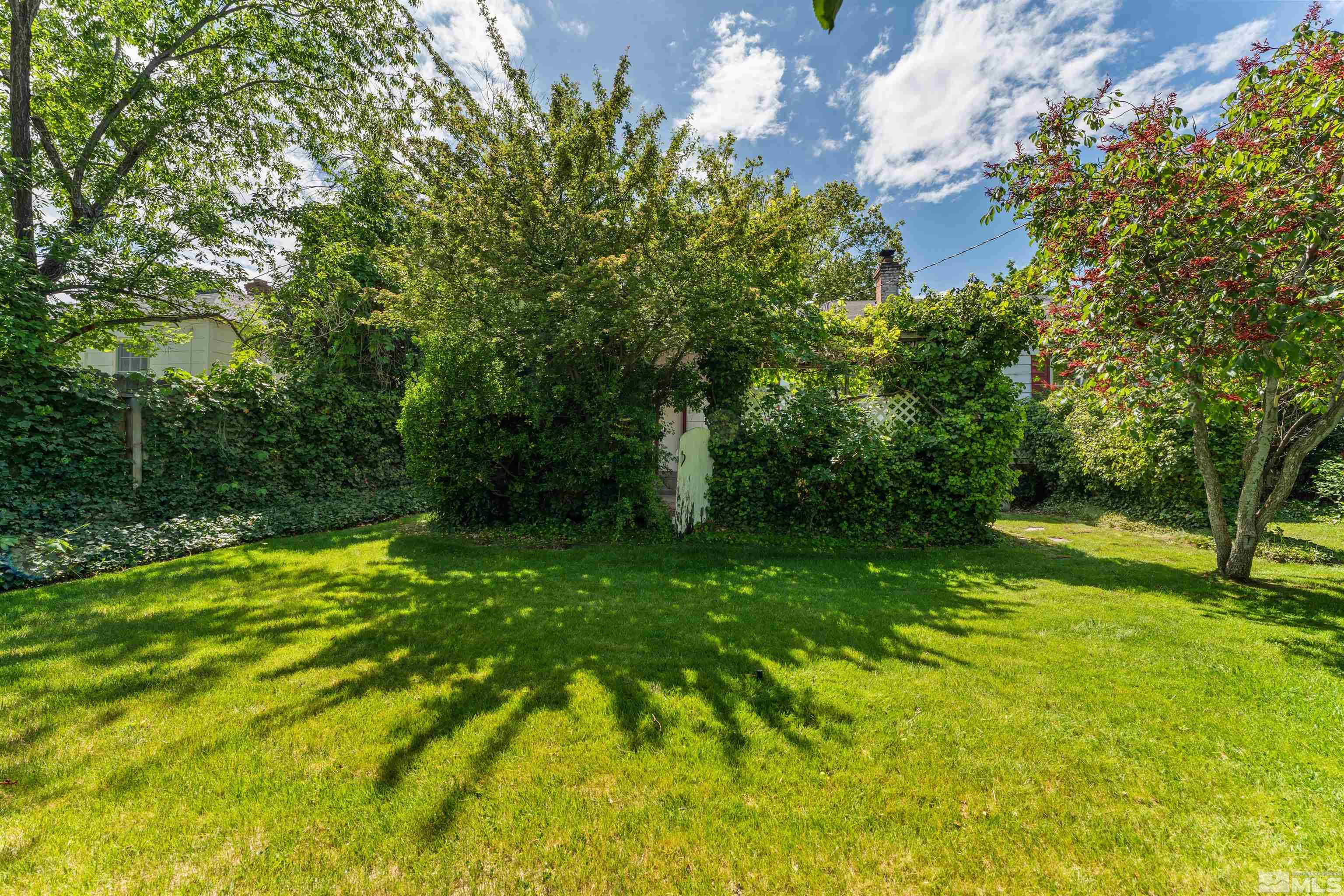 1624 Watt Street Reno, NV 89509 - Photo 34 of 40 a view of a trees with a yard