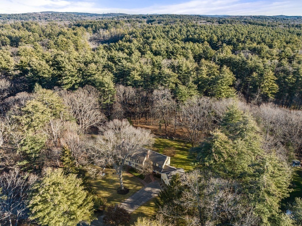 140 Cherry Brook Road Weston, MA 02493 - Photo 4 of 32 a view of a forest with a street