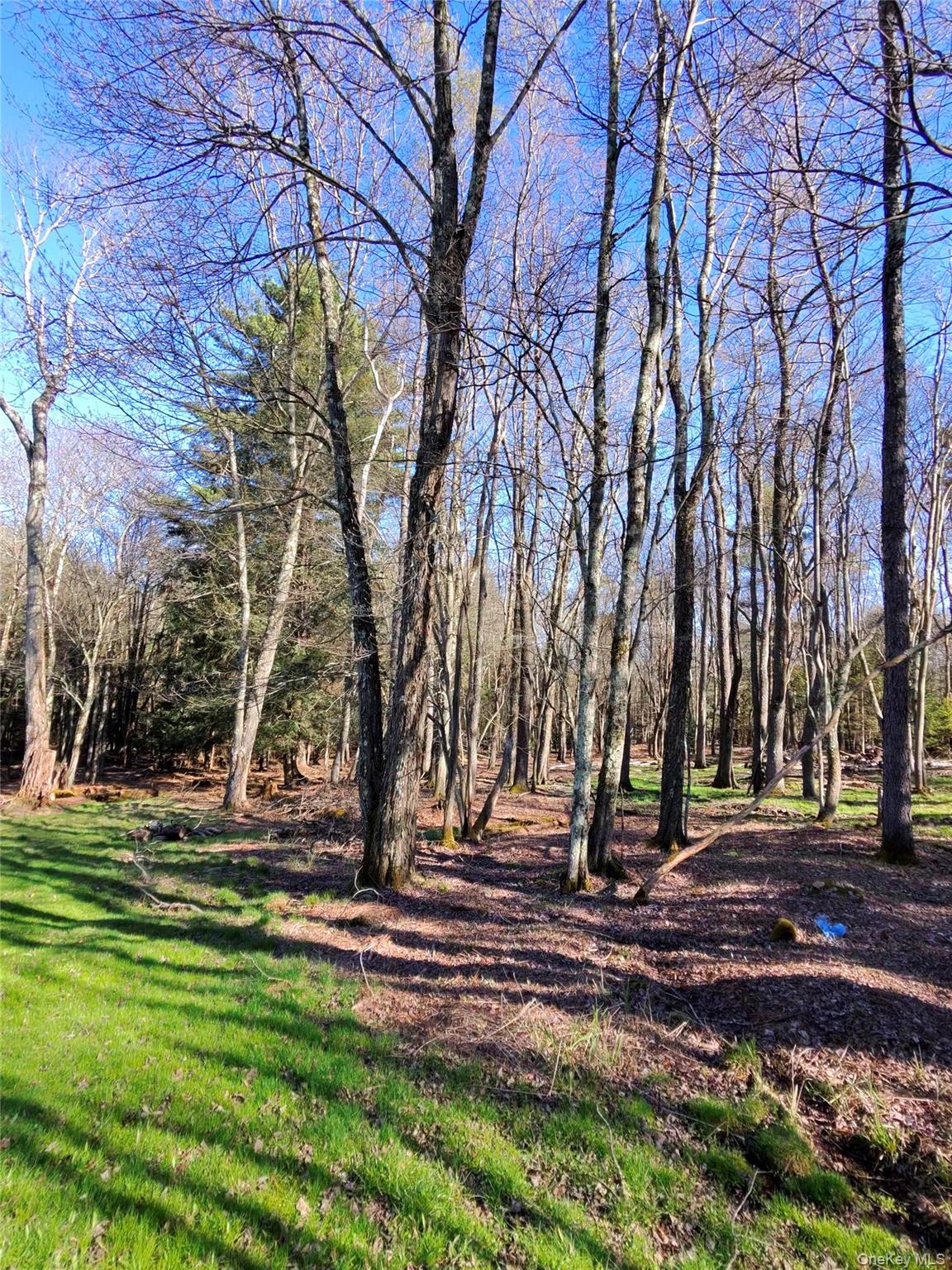 42 Back Shandelee Road Livingston Manor, NY 12758 - Photo 17 of 26