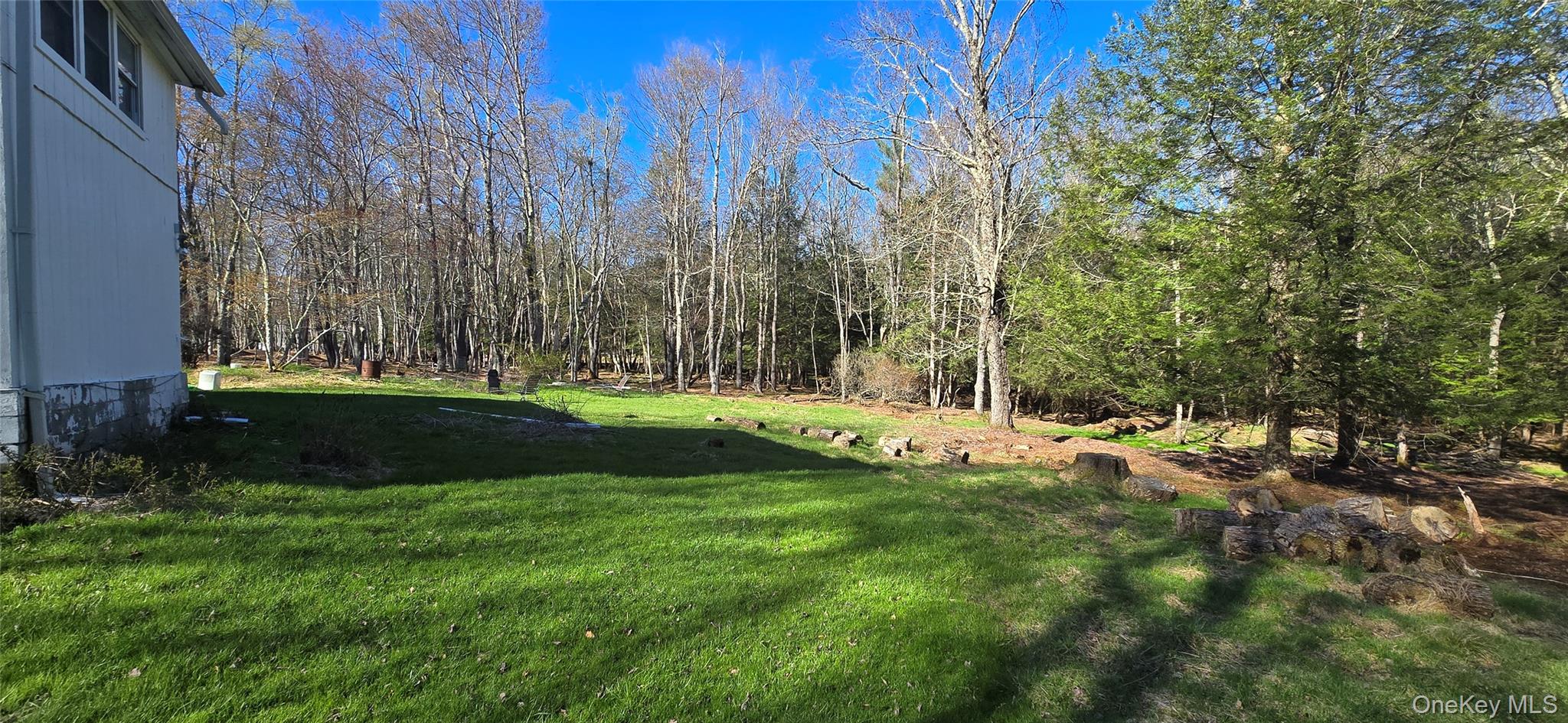 42 Back Shandelee Road Livingston Manor, NY 12758 - Photo 18 of 26