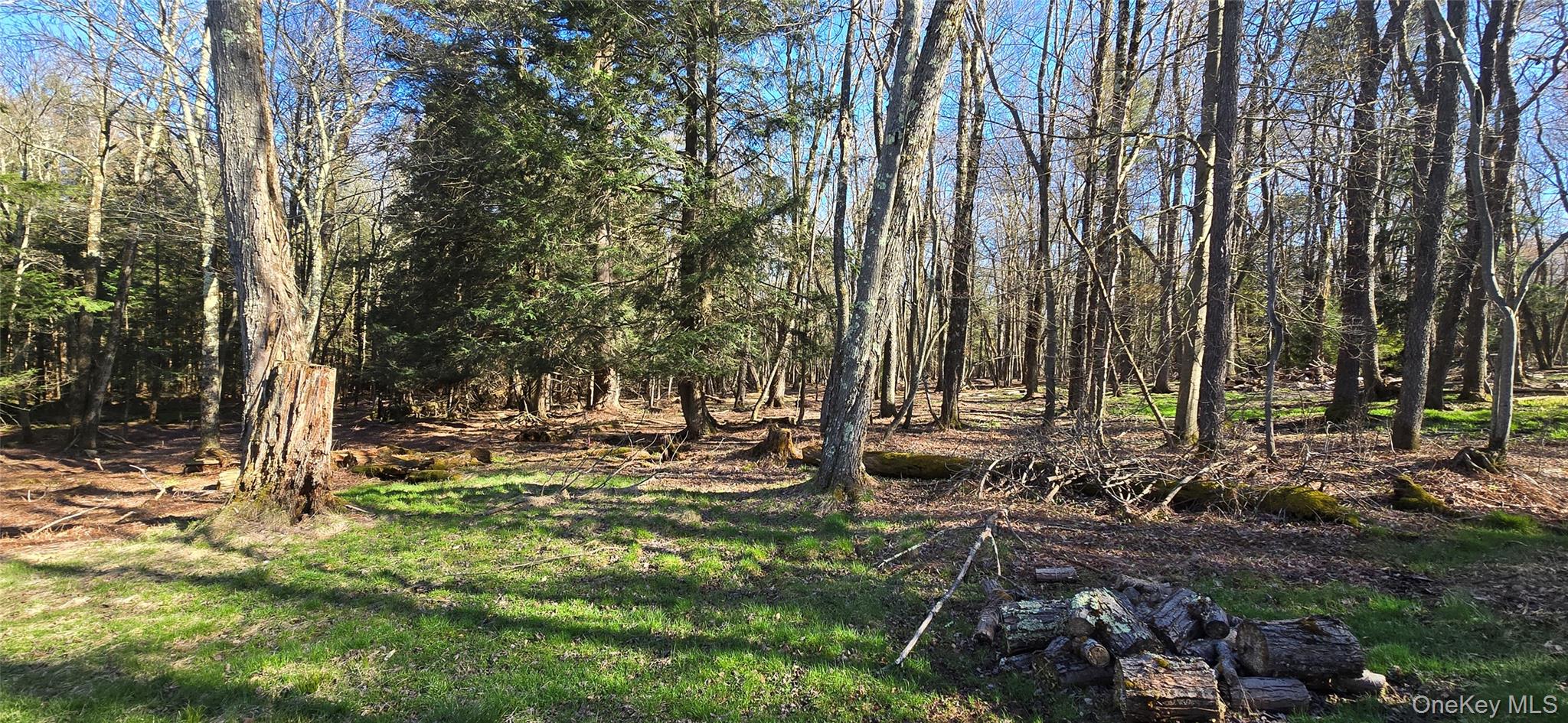 42 Back Shandelee Road Livingston Manor, NY 12758 - Photo 19 of 26