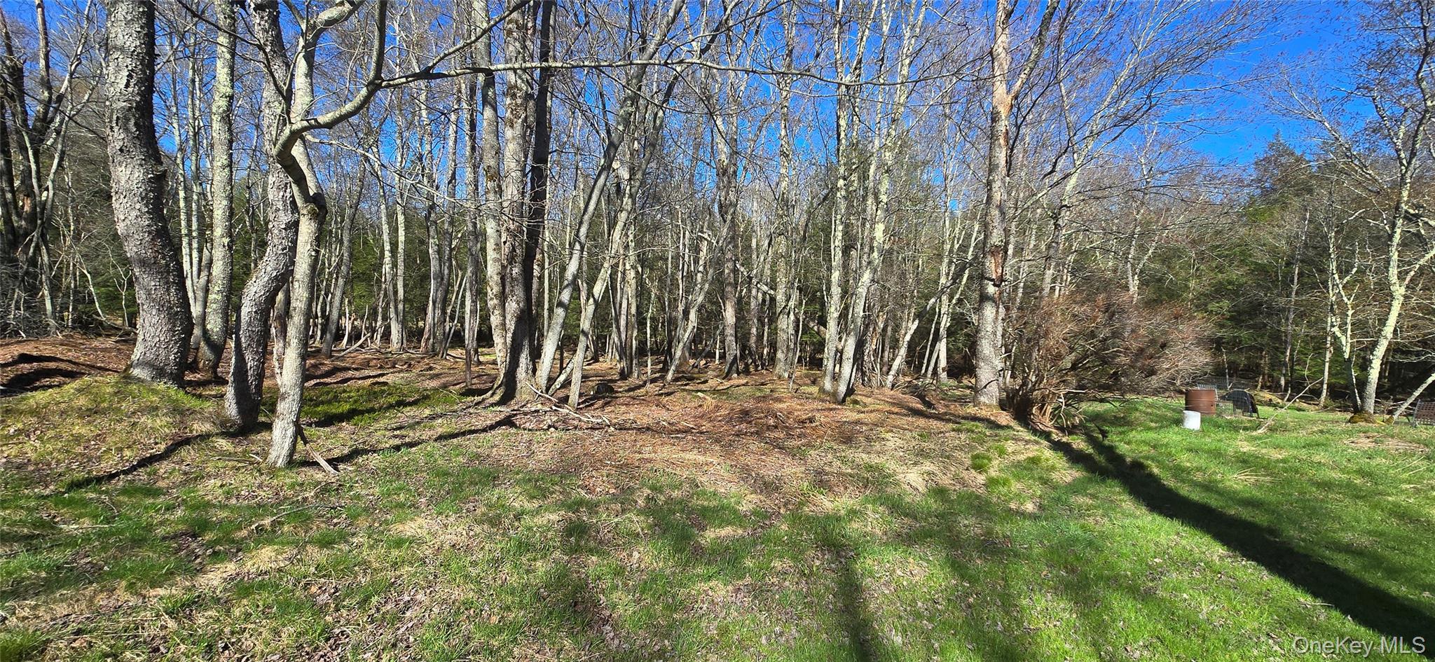 42 Back Shandelee Road Livingston Manor, NY 12758 - Photo 21 of 26