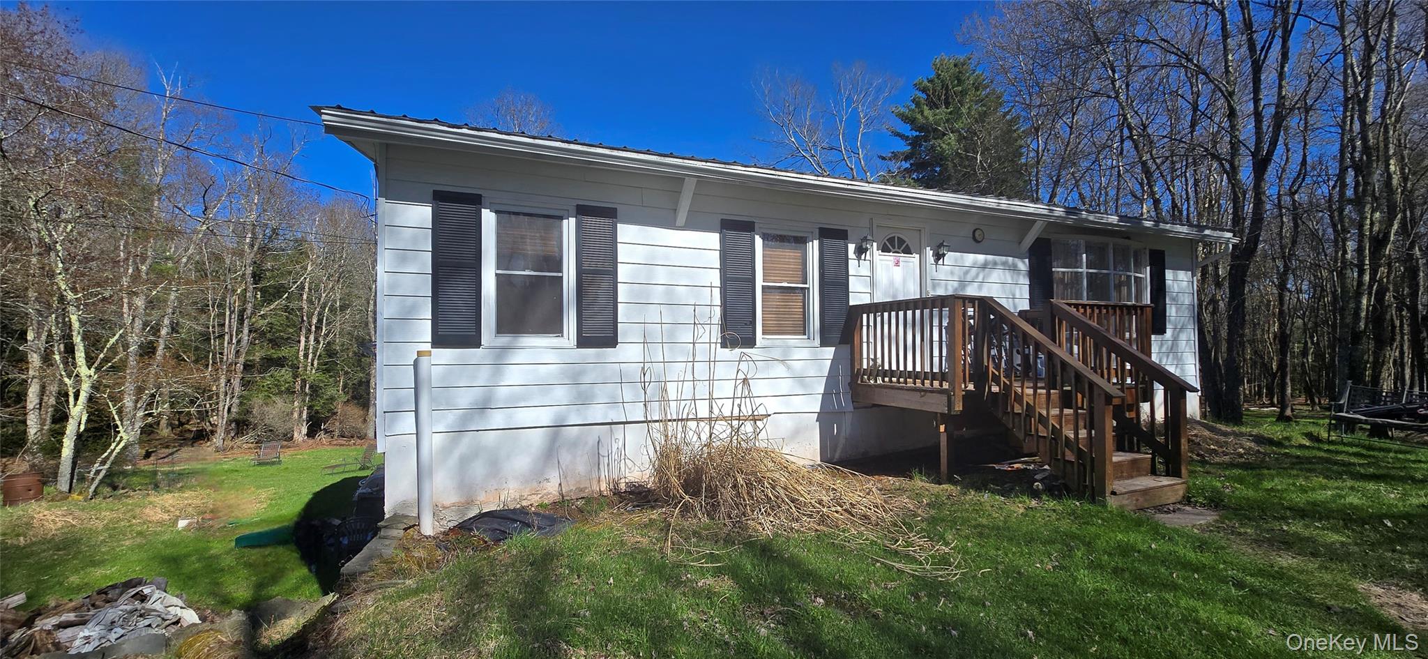 42 Back Shandelee Road Livingston Manor, NY 12758 - Photo 3 of 26