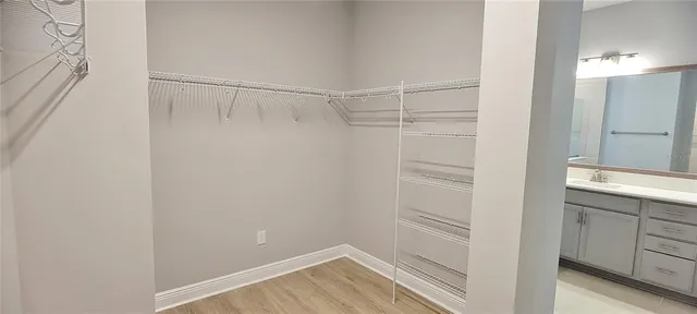 $2,800 | 28564 Sweet Persimmon Drive, Wesley Chapel, FL 33543