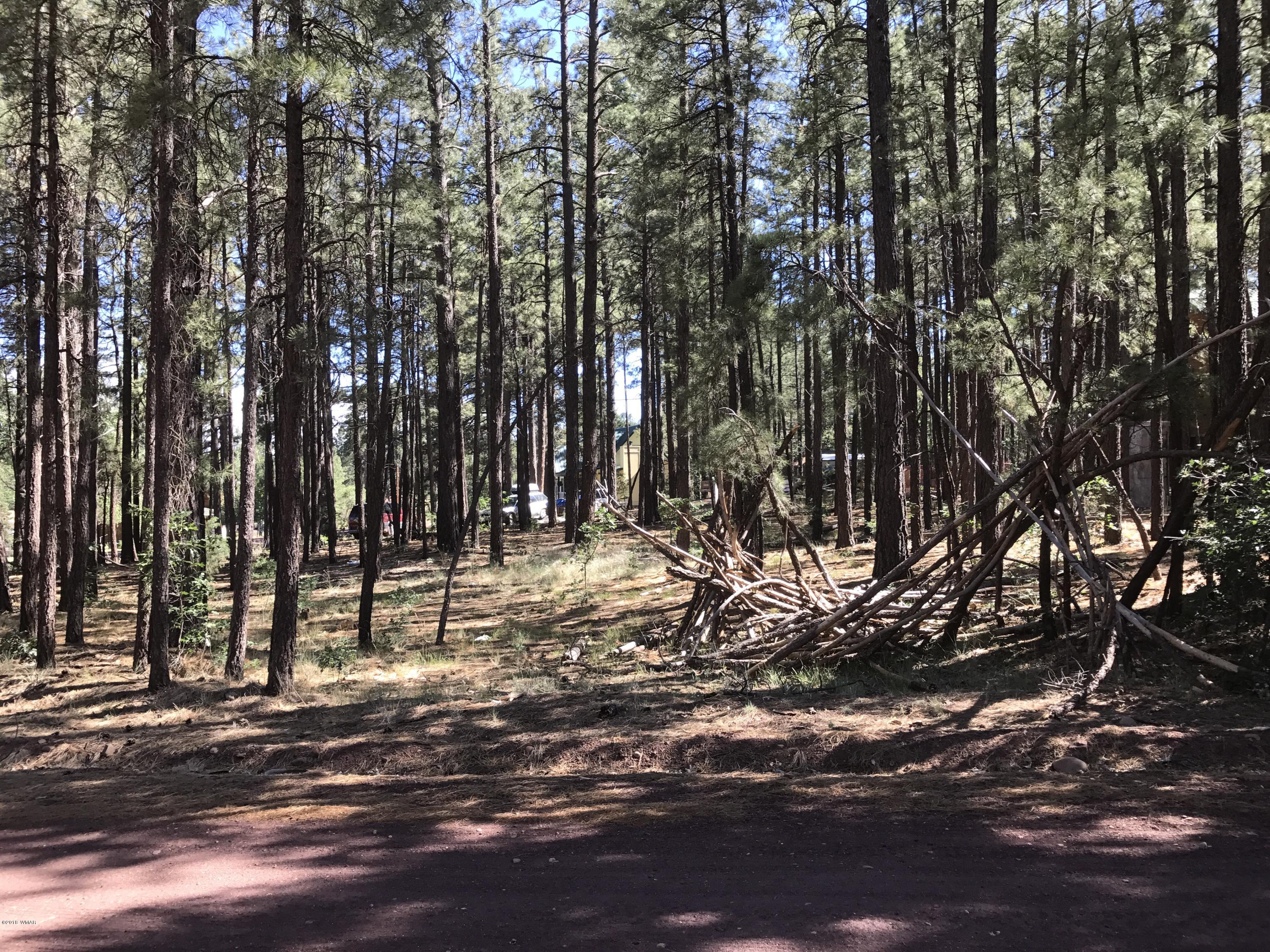 580 Ridge Drive, Unit 28 Pinedale, AZ 85934 - Photo 1 of 1