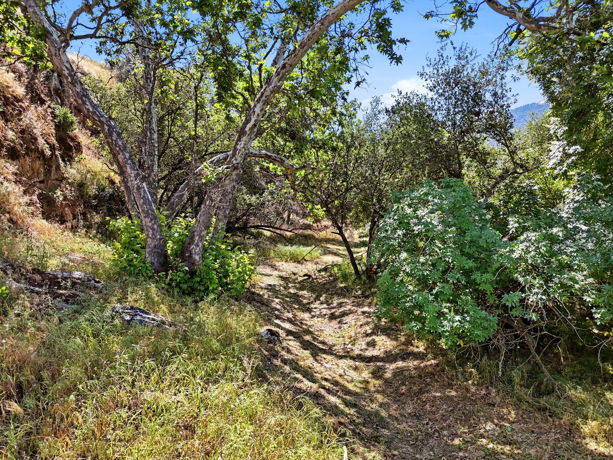40716 Old Three Rivers Road Three Rivers, CA 93271 - Photo 79 of 79 Gallery Image 79