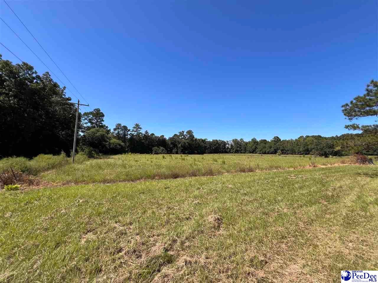 740 County Rd S-45-194 Hemingway, SC 29554 - Photo 2 of 14 Gallery Image 2