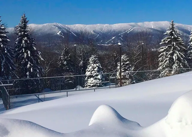 $7,500 | 458 Cider Mountain Road, Warren, VT 05674