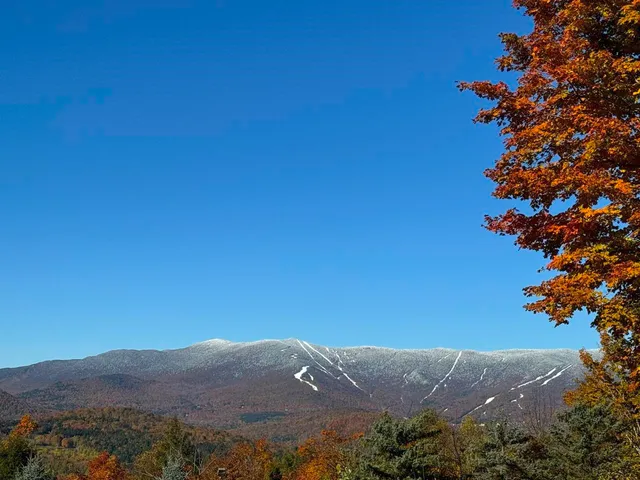 $7,500 | 458 Cider Mountain Road, Warren, VT 05674