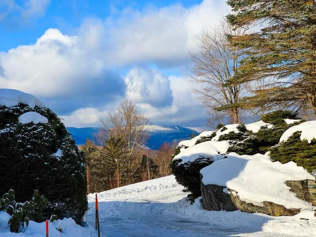 $7,500 | 458 Cider Mountain Road, Warren, VT 05674