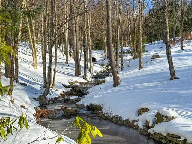 $7,500 | 458 Cider Mountain Road, Warren, VT 05674