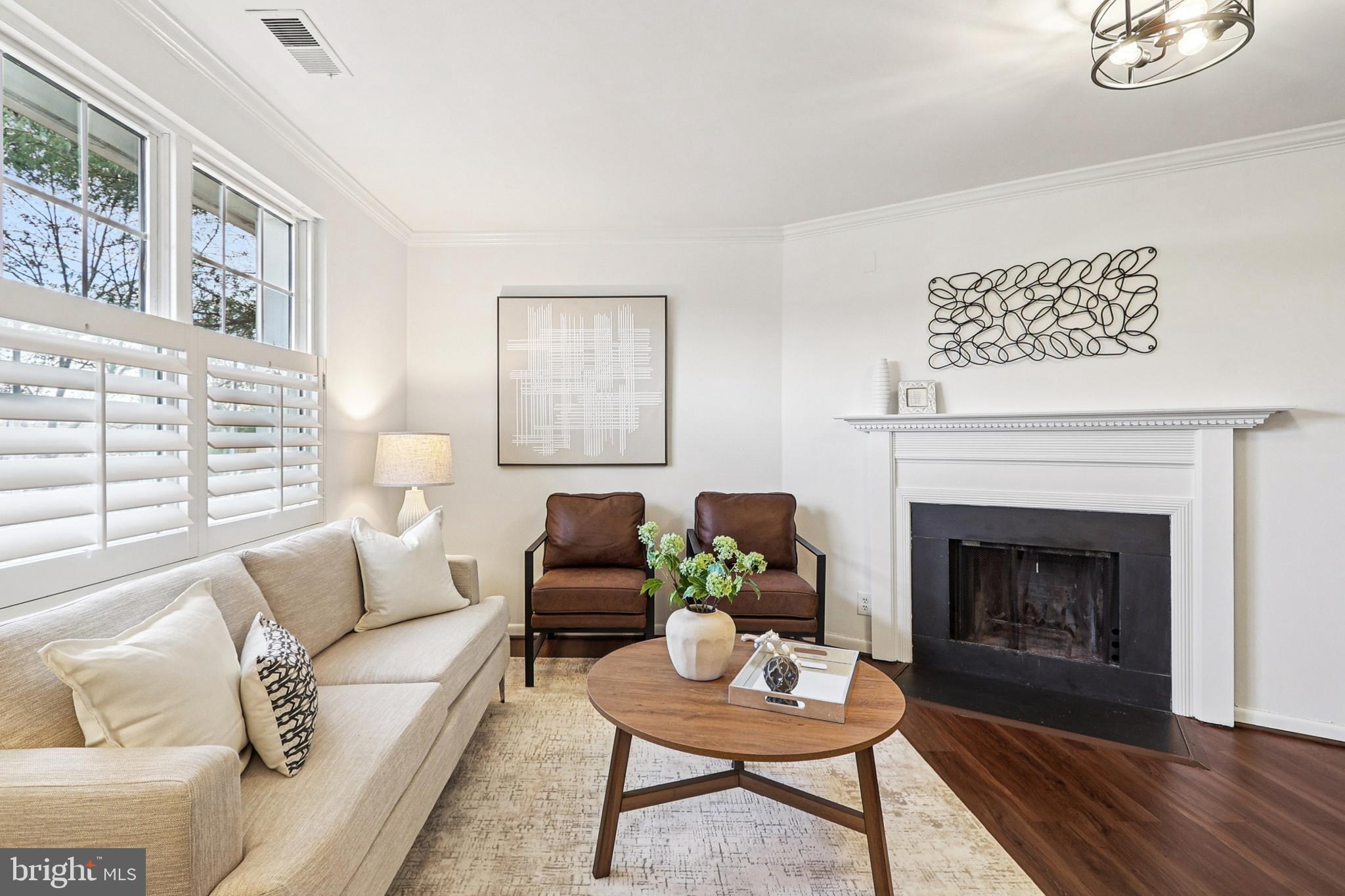 4619 28th Road South, Unit B Arlington, VA 22206 - Photo 6 of 39 Wood Burning Fireplace