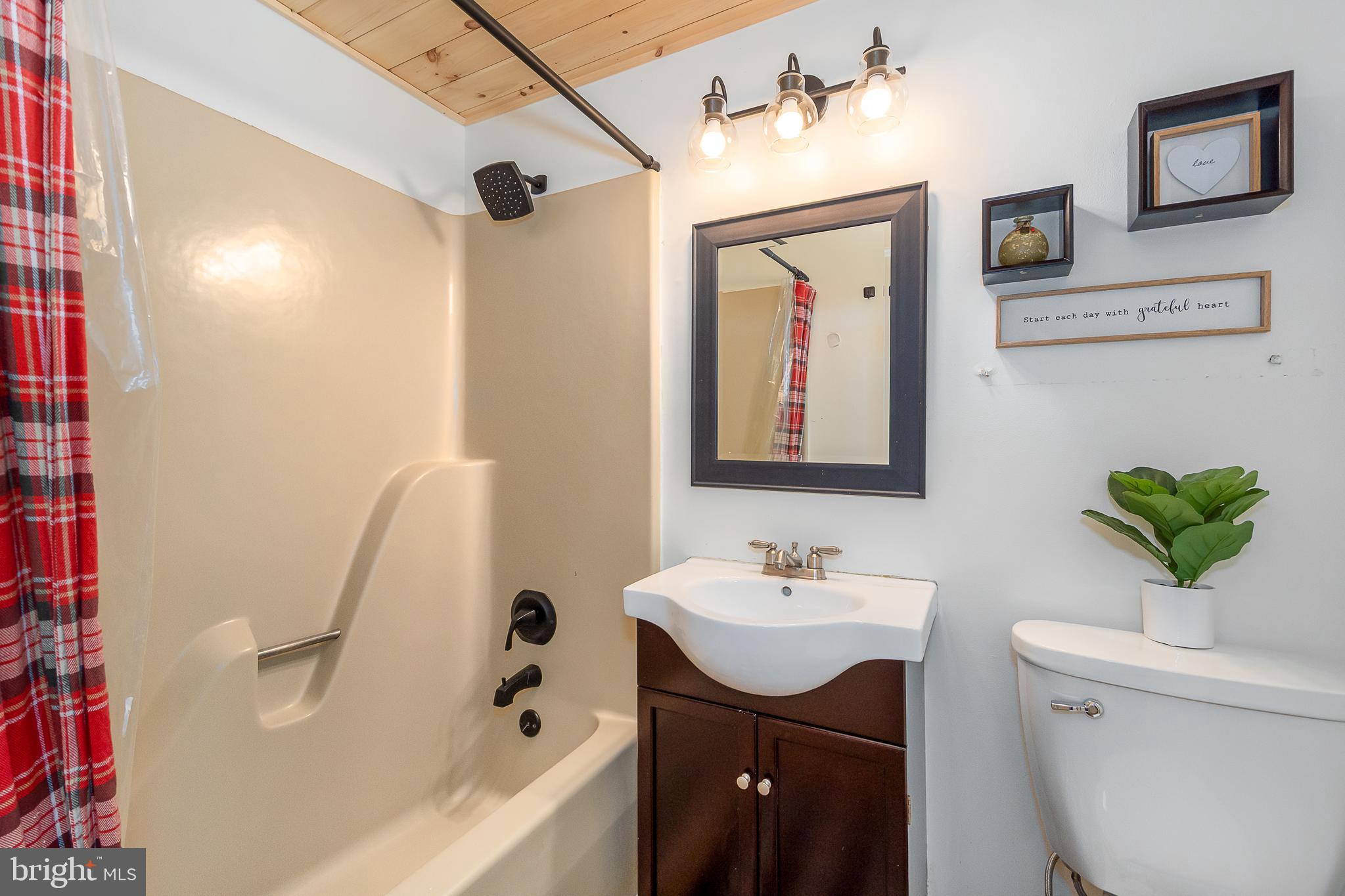 1015 Pysell Road McHenry, MD 21541 - Photo 20 of 56 a bathroom with a sink a toilet and shower