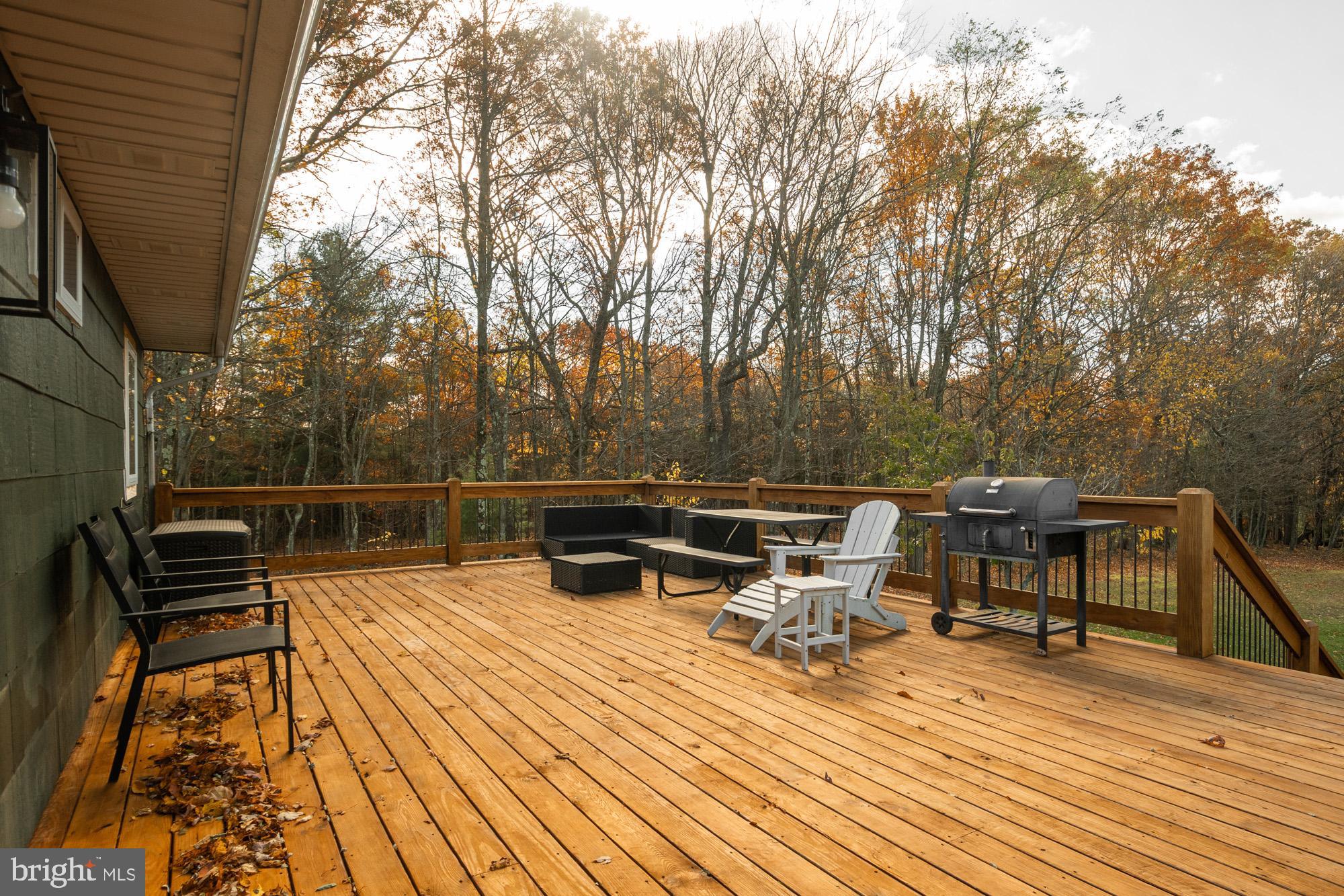 1015 Pysell Road McHenry, MD 21541 - Photo 31 of 43