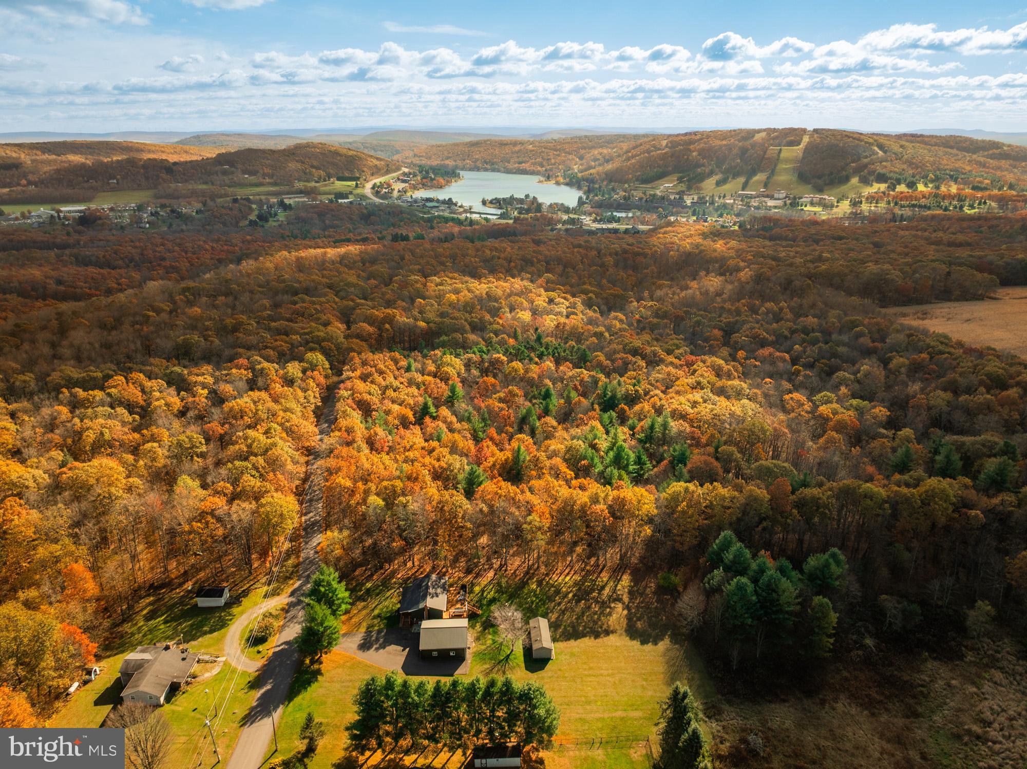 1015 Pysell Road McHenry, MD 21541 - Photo 33 of 43