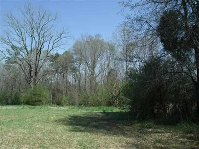 0 Roosevelt Thompson Road Belton, SC 29627 - Photo 1 of 5