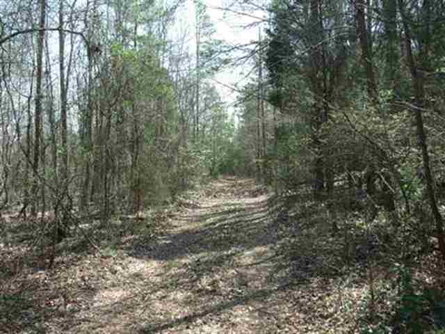 0 Roosevelt Thompson Road Belton, SC 29627 - Photo 3 of 5
