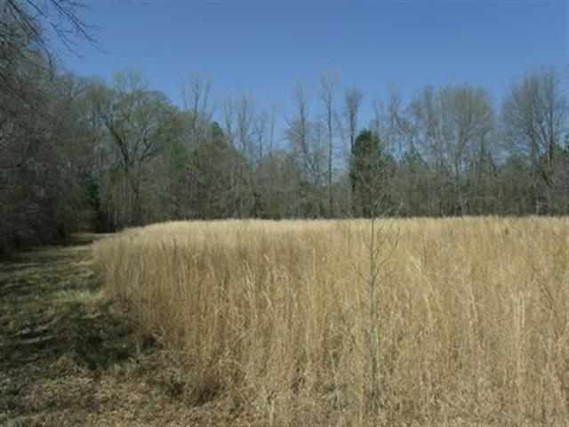0 Roosevelt Thompson Road Belton, SC 29627 - Photo 4 of 5
