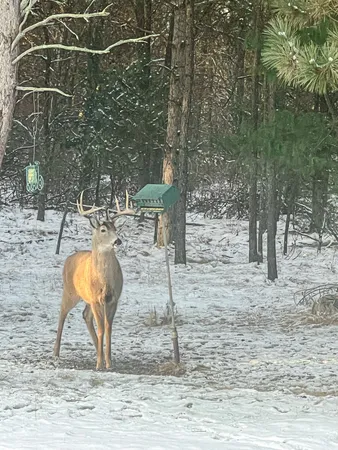 $699,900 | N14965 Pine, Necedah, WI 54646