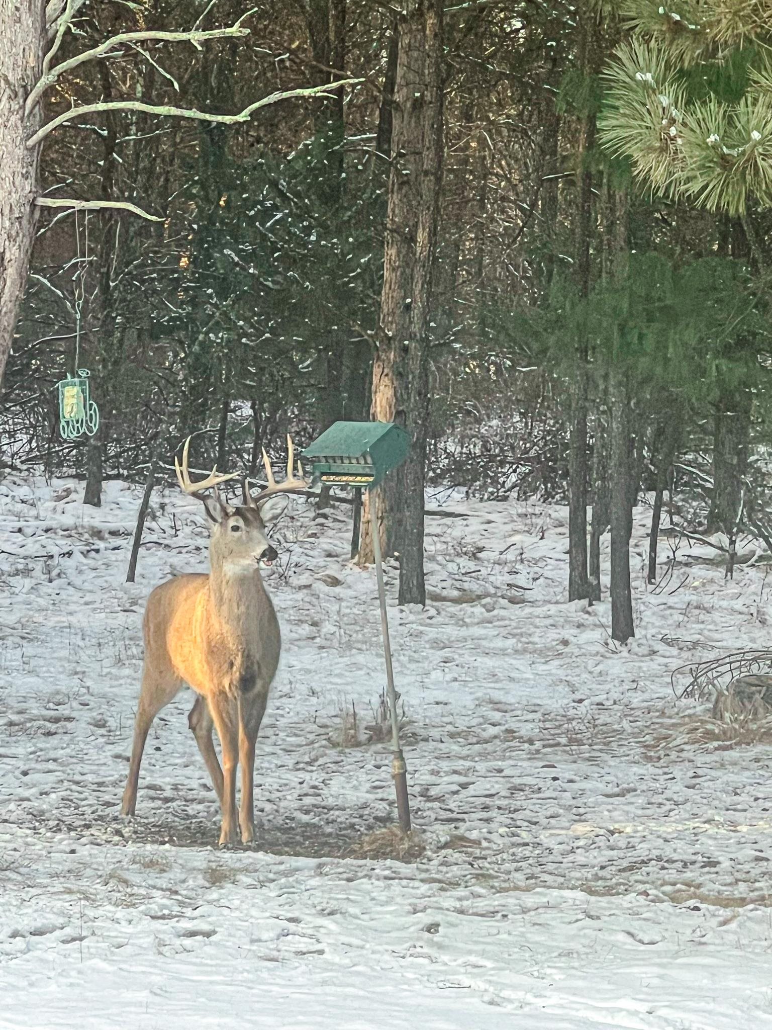 N14965 Pine Necedah, WI 54646 - Photo 3 of 90