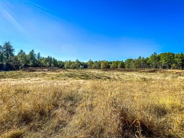 $699,900 | N14965 Pine, Necedah, WI 54646