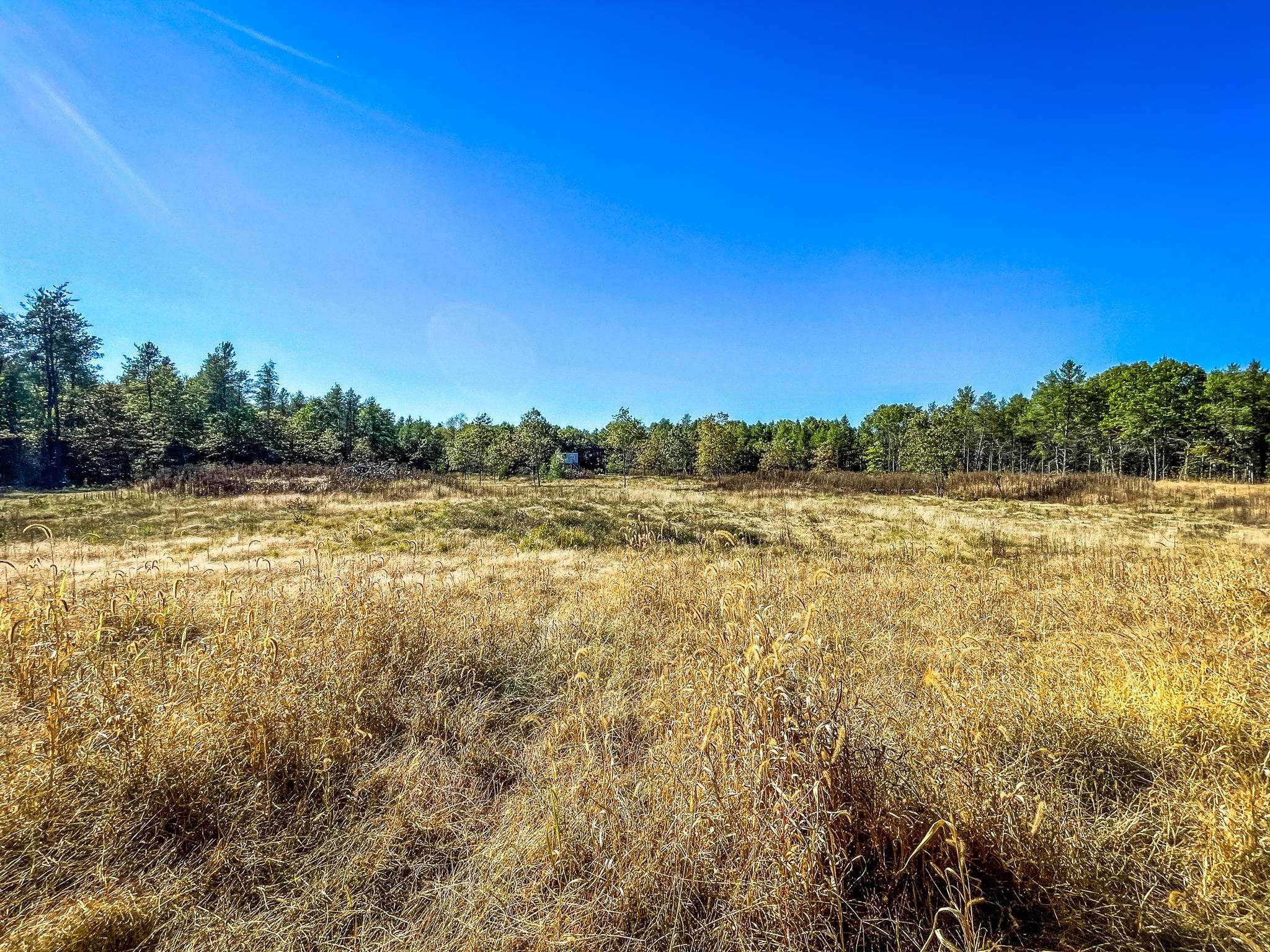 N14965 Pine Necedah, WI 54646 - Photo 43 of 90