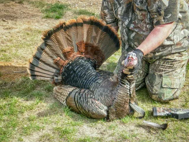 $729,900 | N14965 Pine Necedah Wi 54646, Necedah, WI 54646