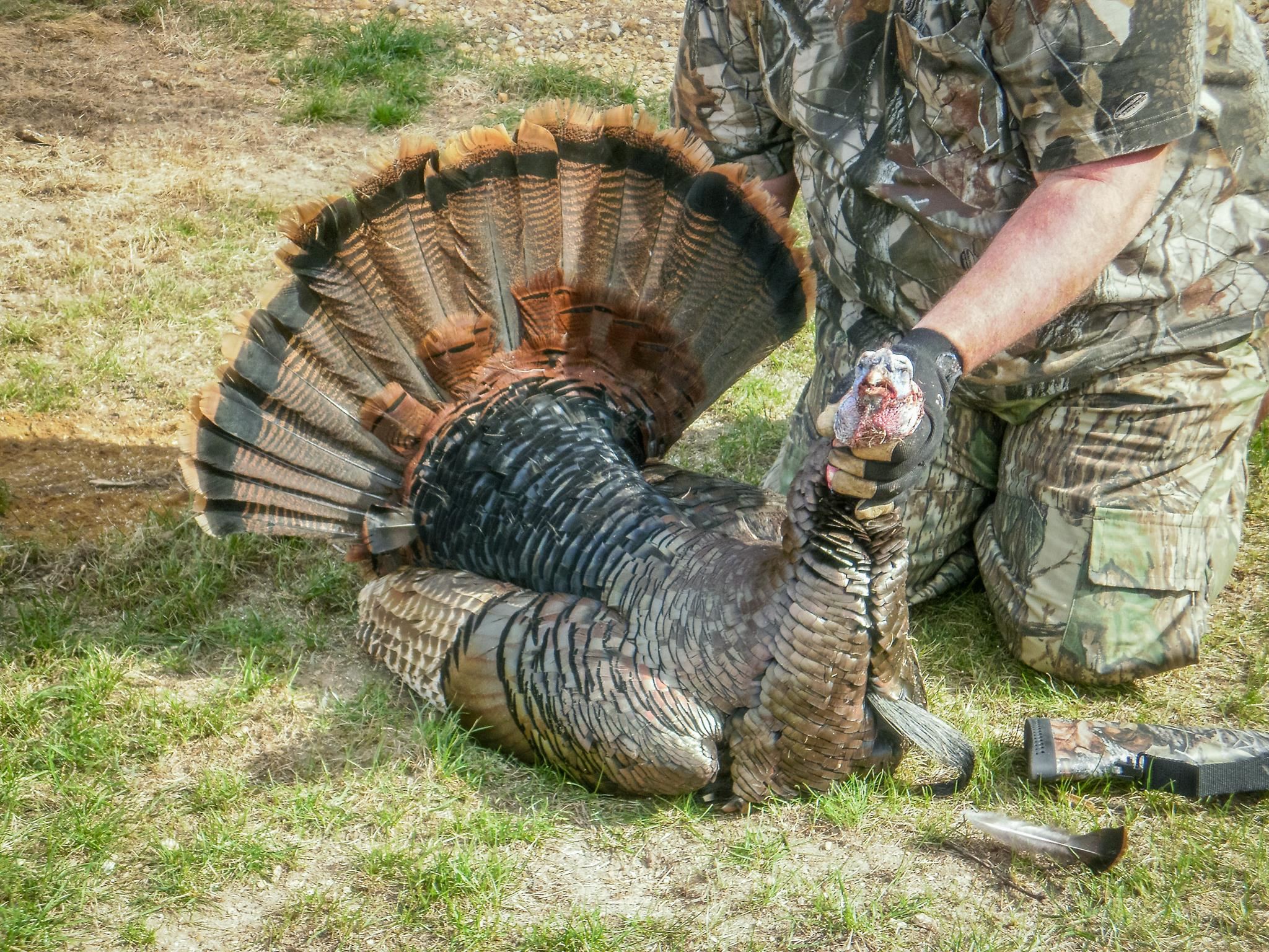 N14965 Pine Necedah, WI 54646 - Photo 52 of 90
