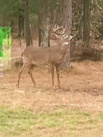 $699,900 | N14965 Pine, Necedah, WI 54646