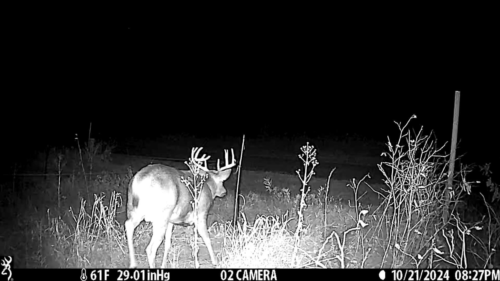 N14965 Pine Necedah, WI 54646 - Photo 57 of 90