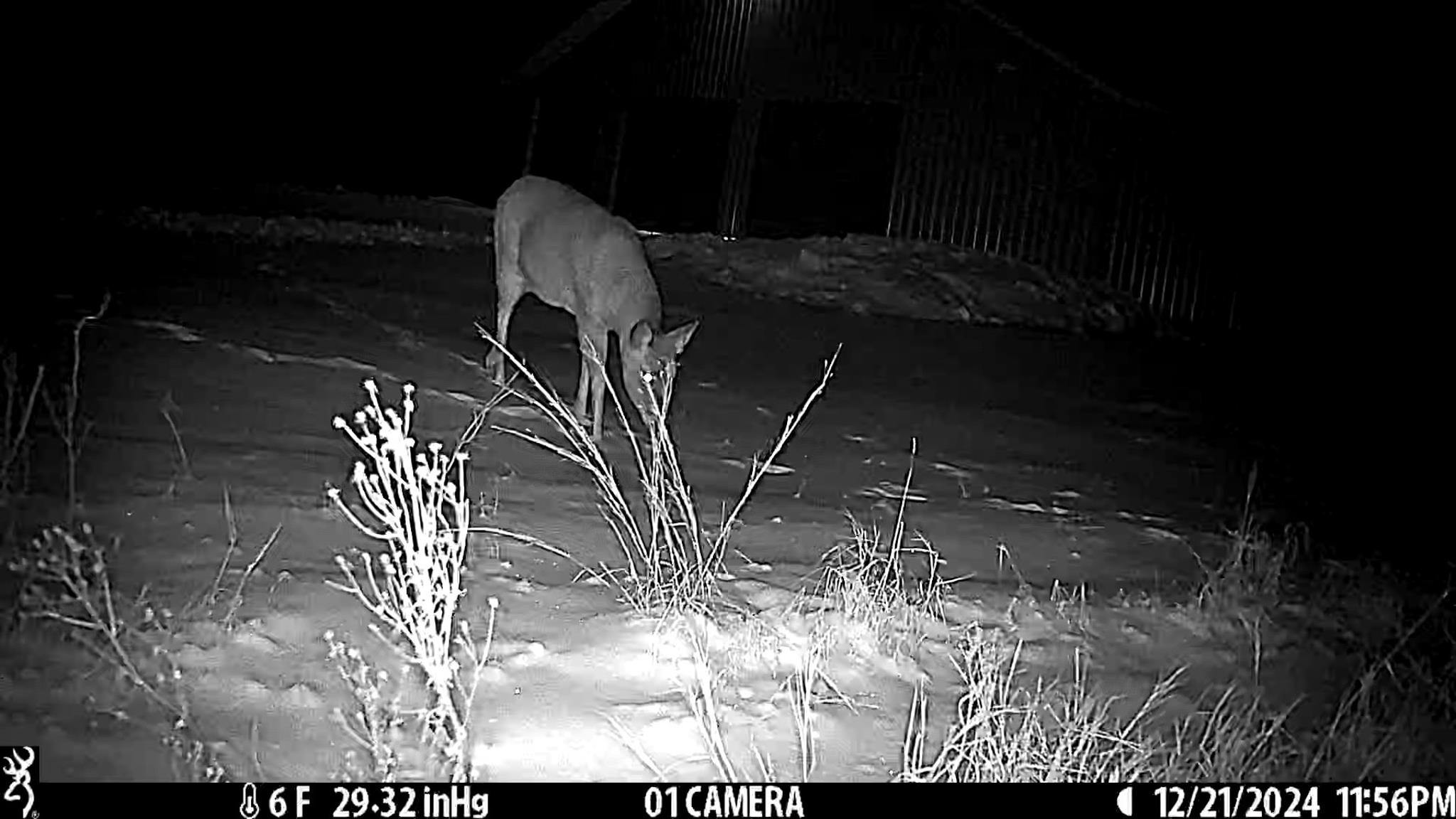 N14965 Pine Necedah, WI 54646 - Photo 58 of 90