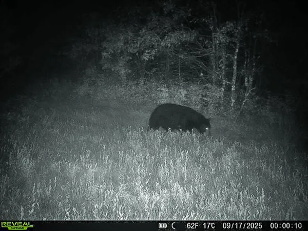 $699,900 | N14965 Pine, Necedah, WI 54646