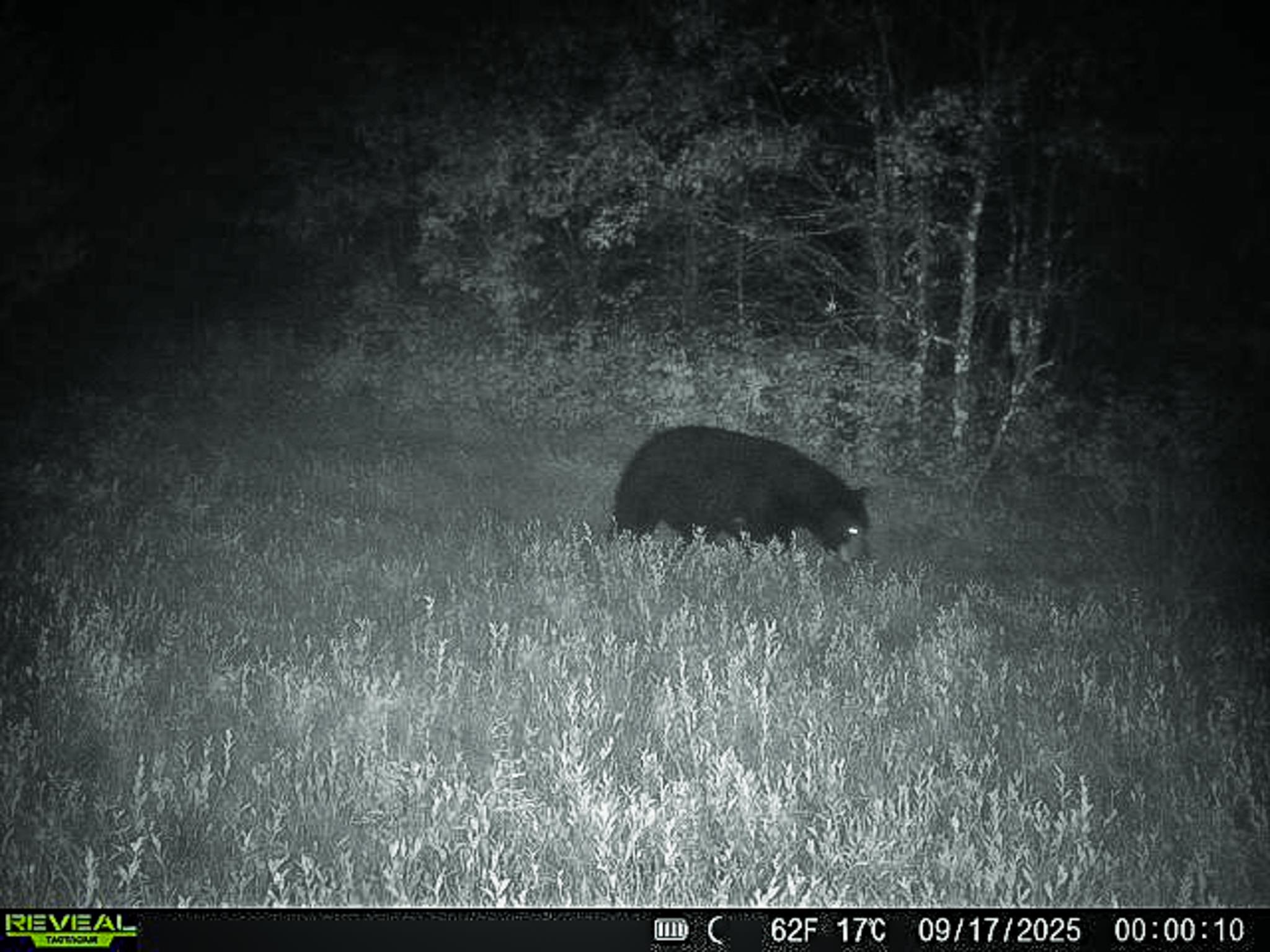 N14965 Pine Necedah, WI 54646 - Photo 59 of 90